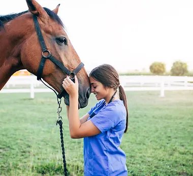 Vet Petting a Horse Royal Spring Village