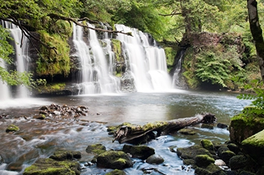 About Us – Royal Spring Village New Project in Puerto Plata About Us - Royal Spring Village New Project in Puerto Plata